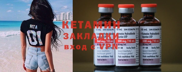 крисы Бородино