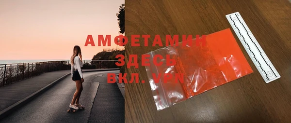 крисы Бородино