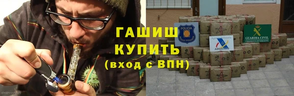 крисы Бородино