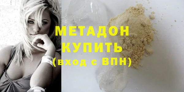 крисы Бородино