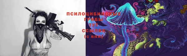 крисы Бородино