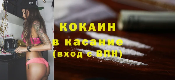 крисы Бородино