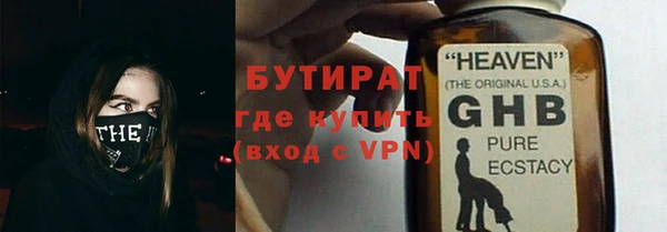 крисы Бородино