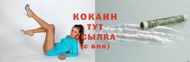крисы Бородино