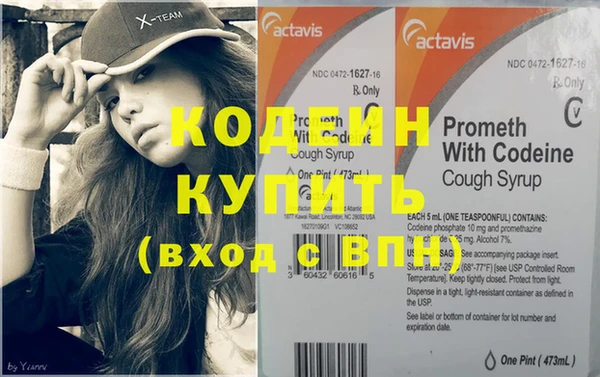 крисы Бородино