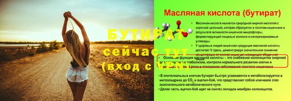 крисы Бородино